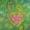 Yellow. Vine.Love.Tree…